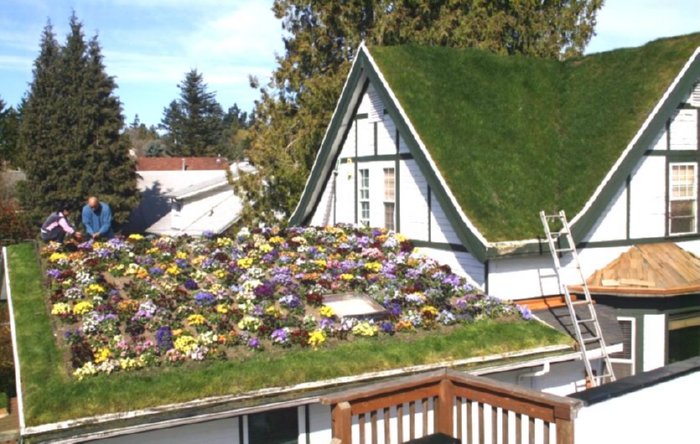 green roofed house